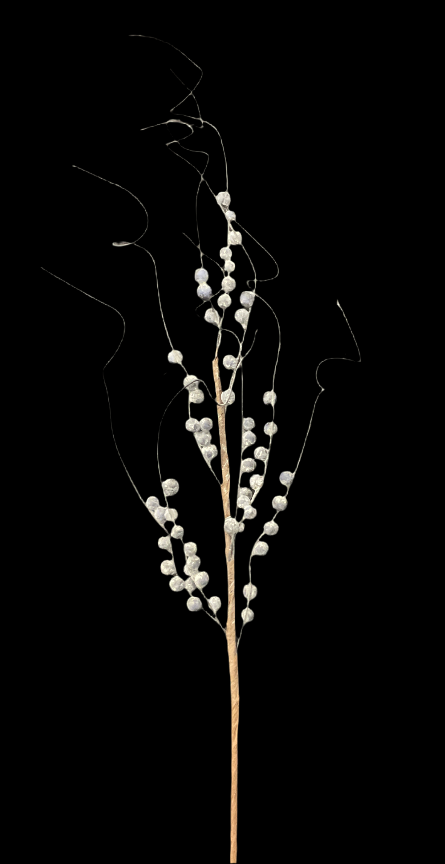 Blueberry Wispy Spray