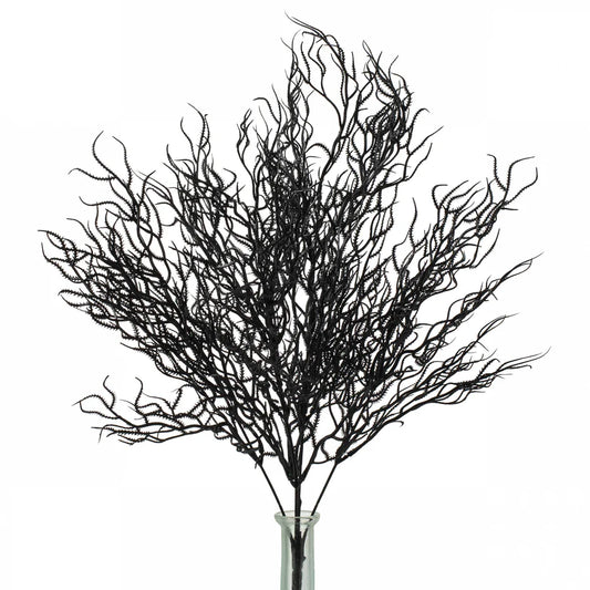 21" Cottonii Seaweed Bush: Black