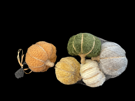Assorted Pumpkins In Net Bag x 5 - 3.5x3.5"