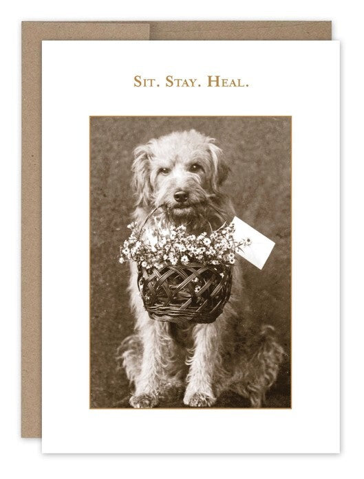 Shannon Martin Greetings Cards