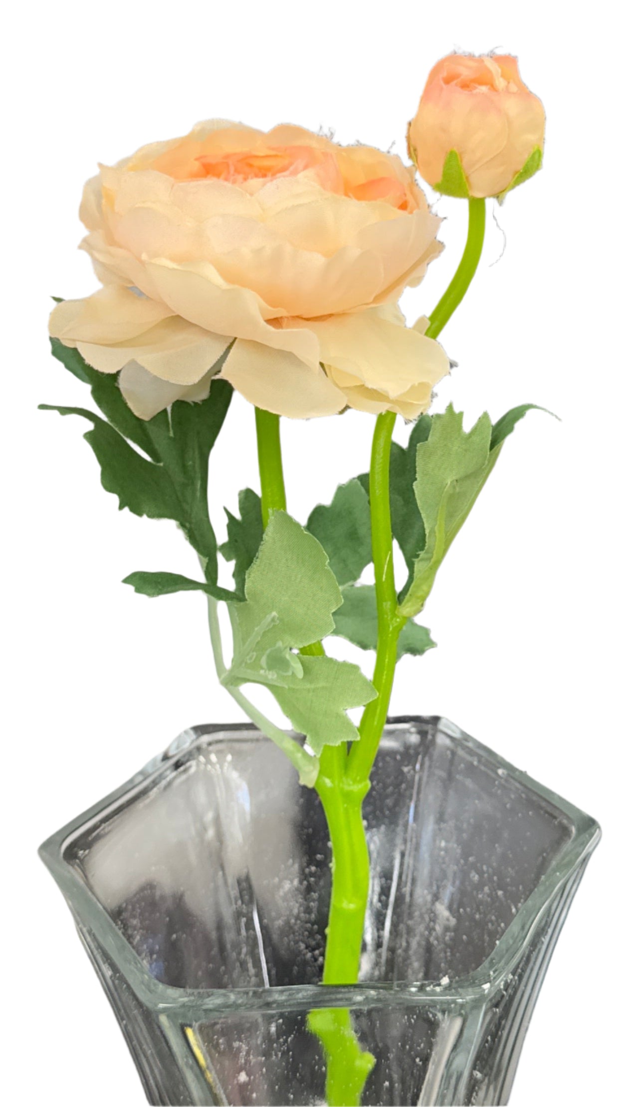14.5” Peony Stem: 2 Head