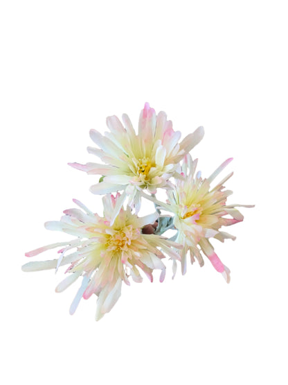 30” Fuji Mums