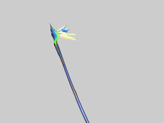 Birds Of Paradise - Blue/White