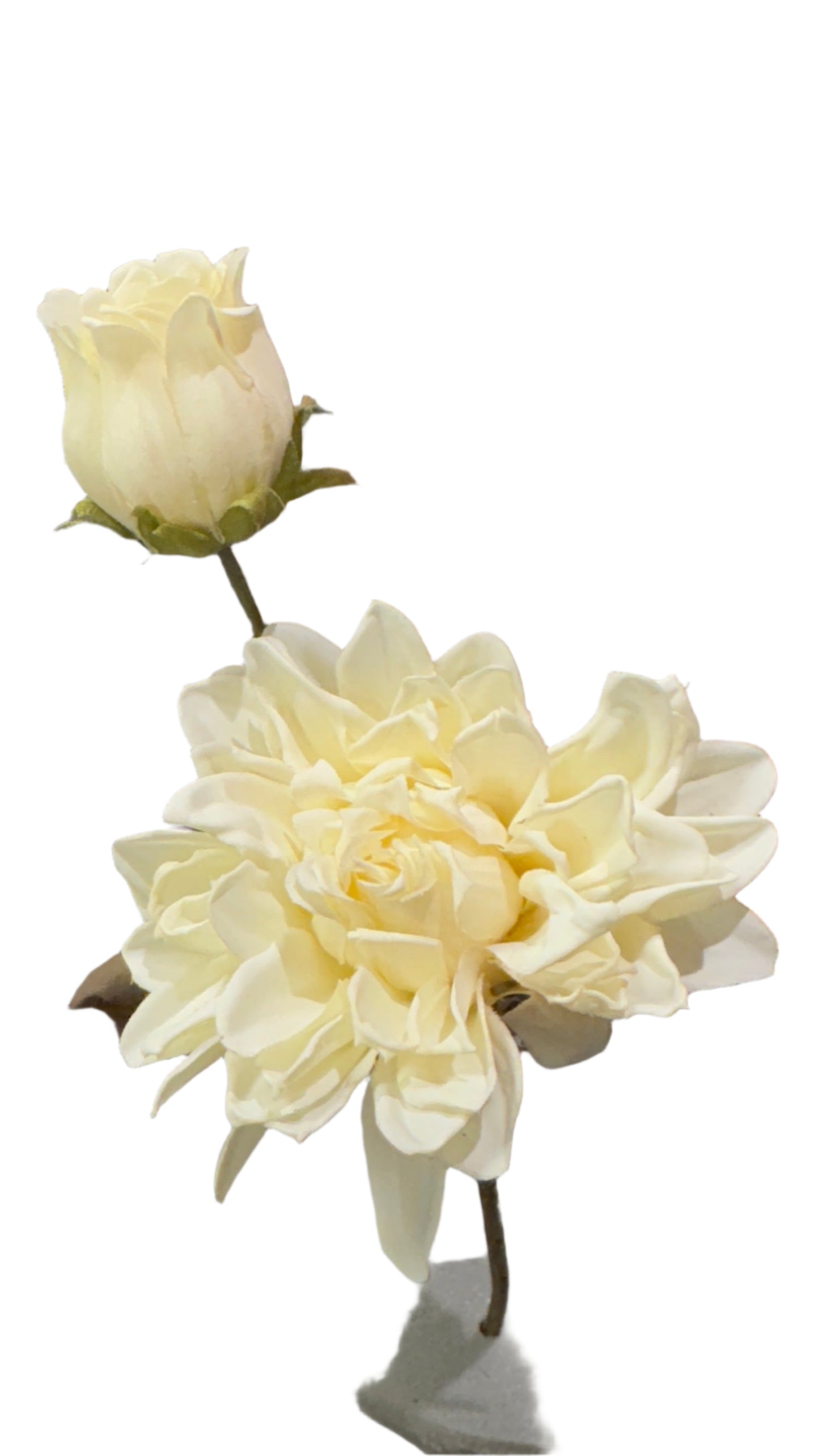 14.5” Dahlia JD-F152
