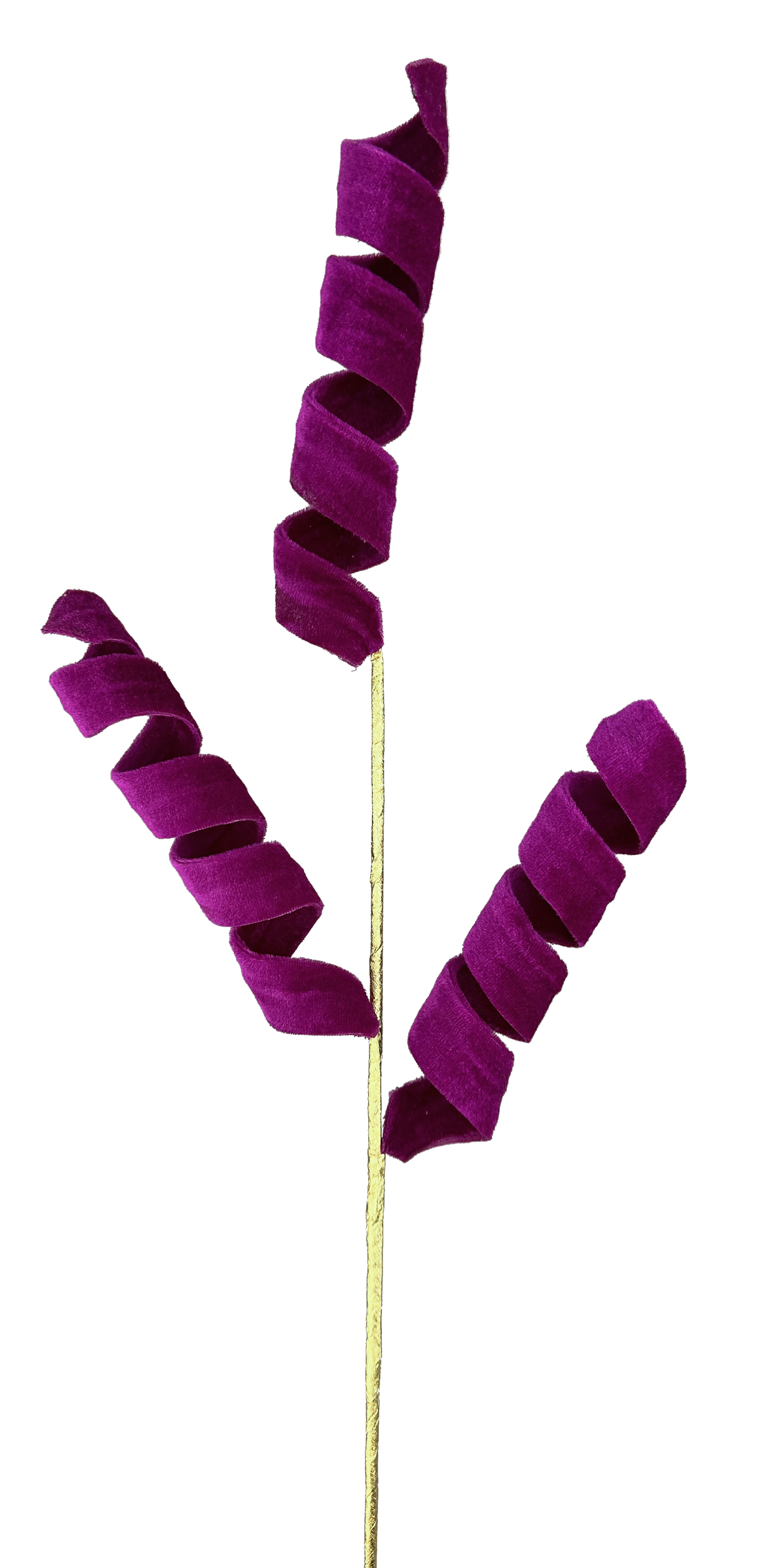 24" Curly Spray: Fuchsia