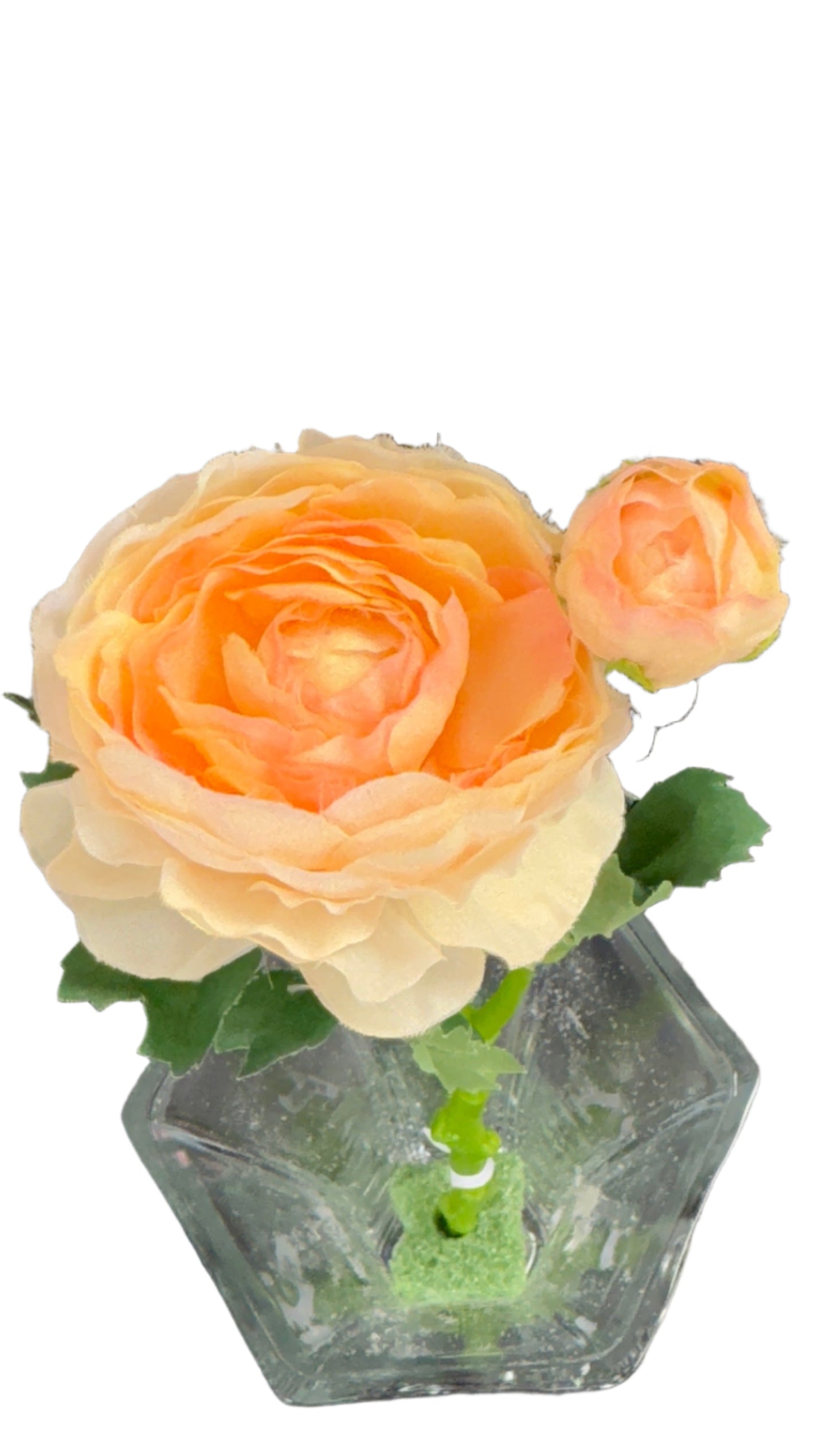 14.5” Peony Stem: 2 Head