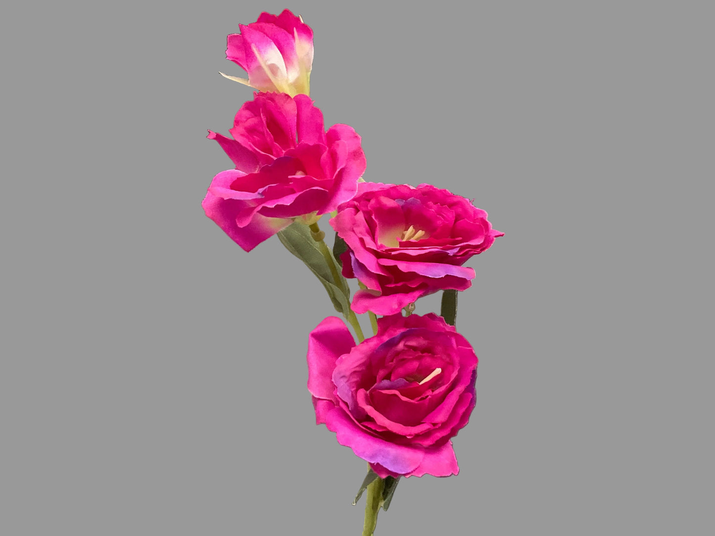 27” Lisianthus Floral Stem