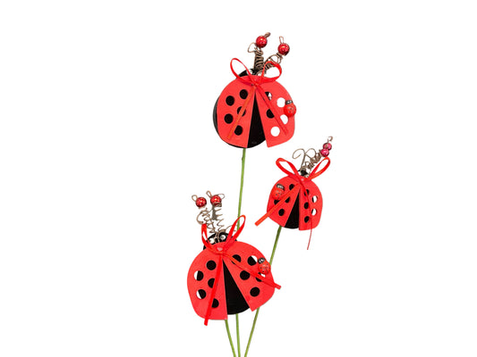 24" Ladybug Spray
