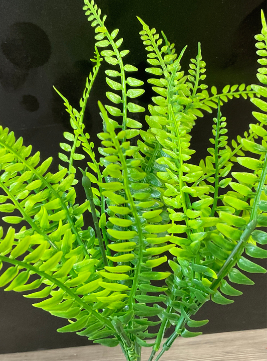 Mini Fern Pick Plastic