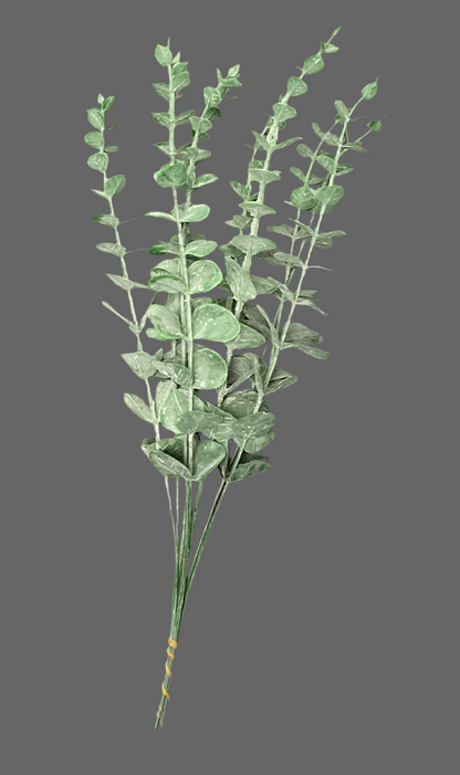 Eucalyptus Bundle Set of 10