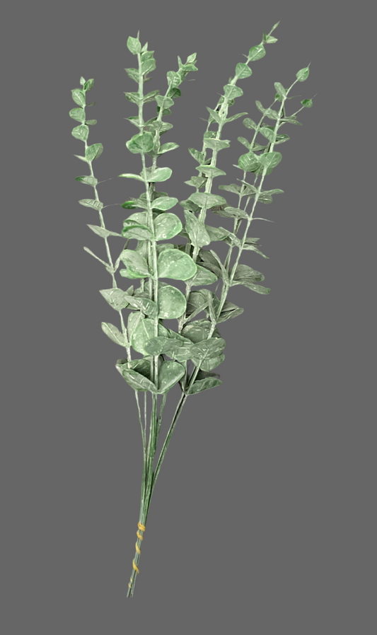Eucalyptus Bundle Set of 10