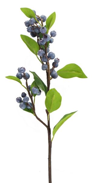Blueberry Branch 23"L