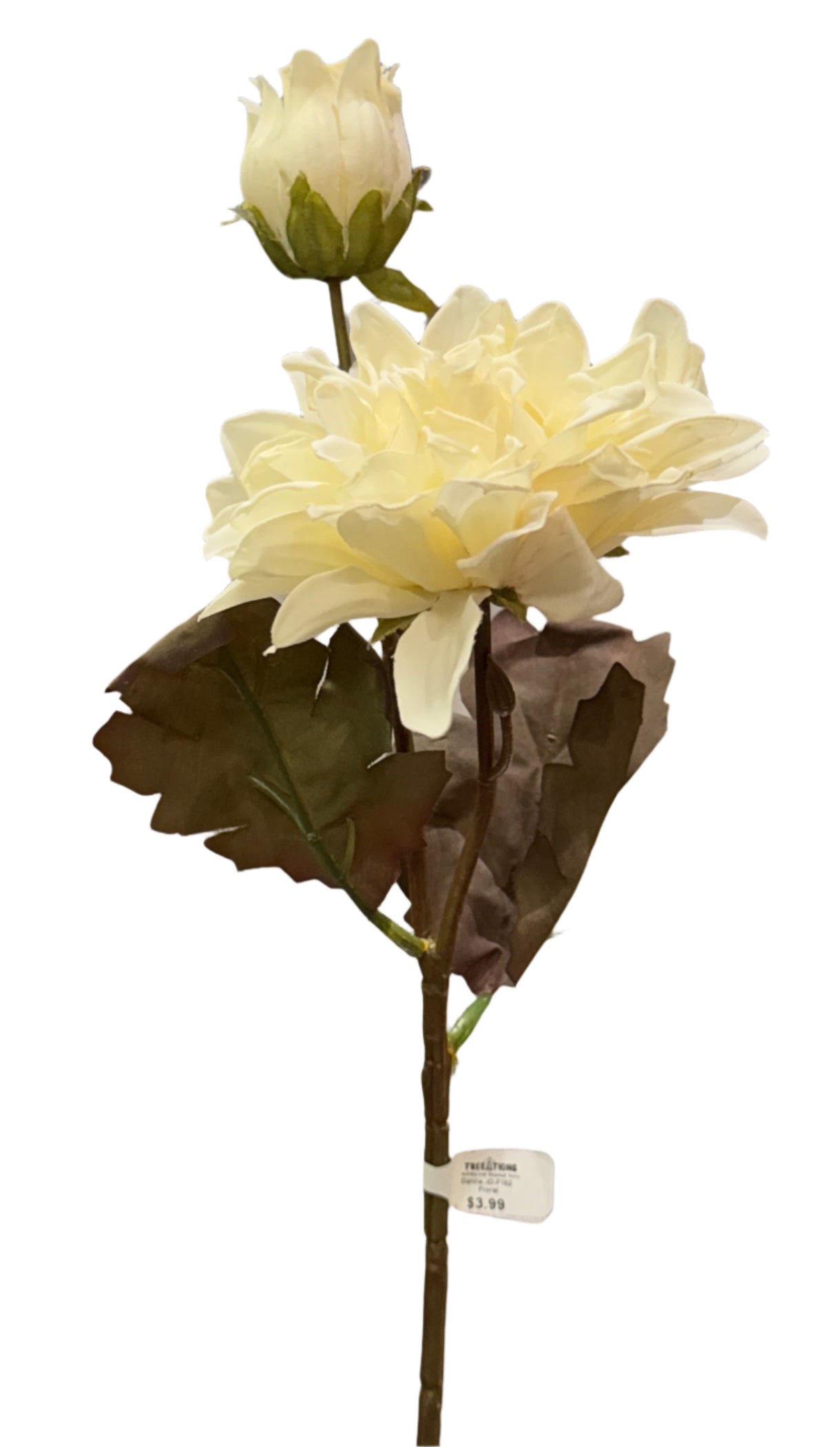 14.5” Dahlia JD-F152