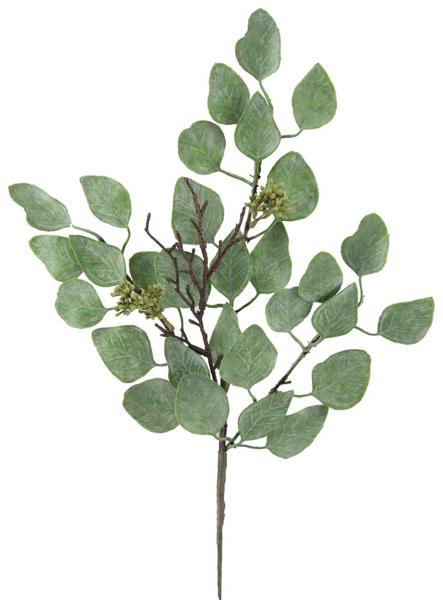 17.5" Eucalyptus Stem