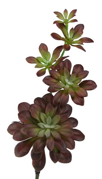 12" L Cascading Sedum Pick