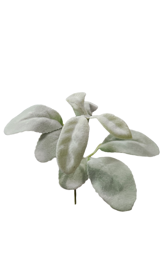Mini Lamb’s Ear Pick