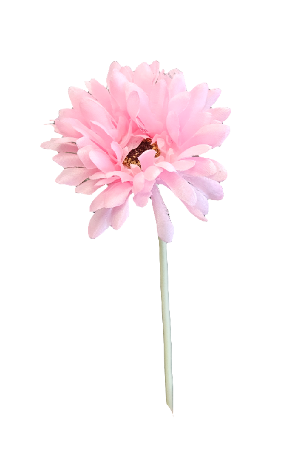21" Gerbera Daisies