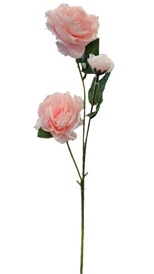 Peony Stem - 3 Head - 25"