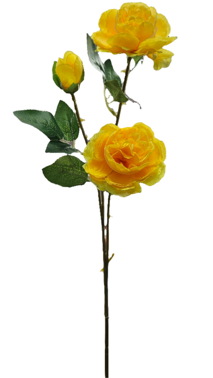 Peony Stem - 3 Head - 25"
