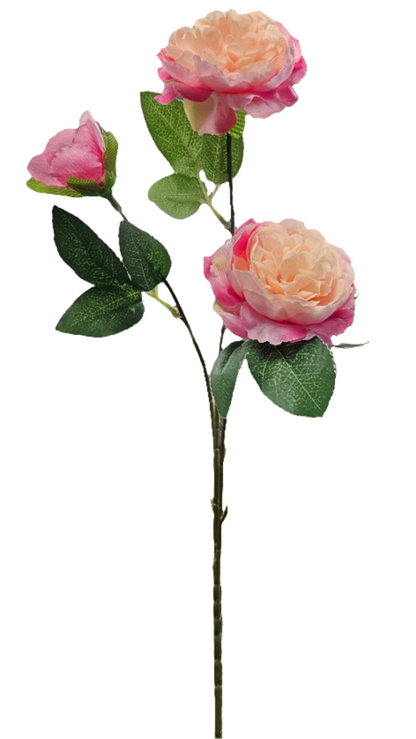 Peony Stem - 3 Head - 25"