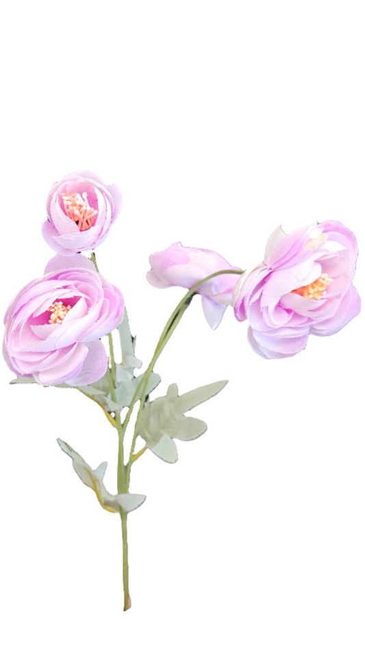23" Ranunculus Stem - 4 Buds