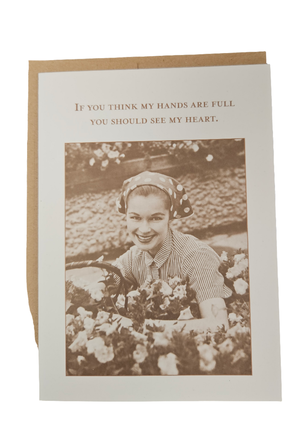 Shannon Martin Greetings Cards
