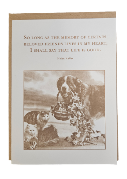 Shannon Martin Greetings Cards