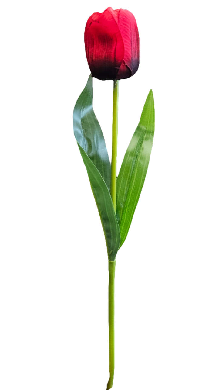 18" Silk Tulips