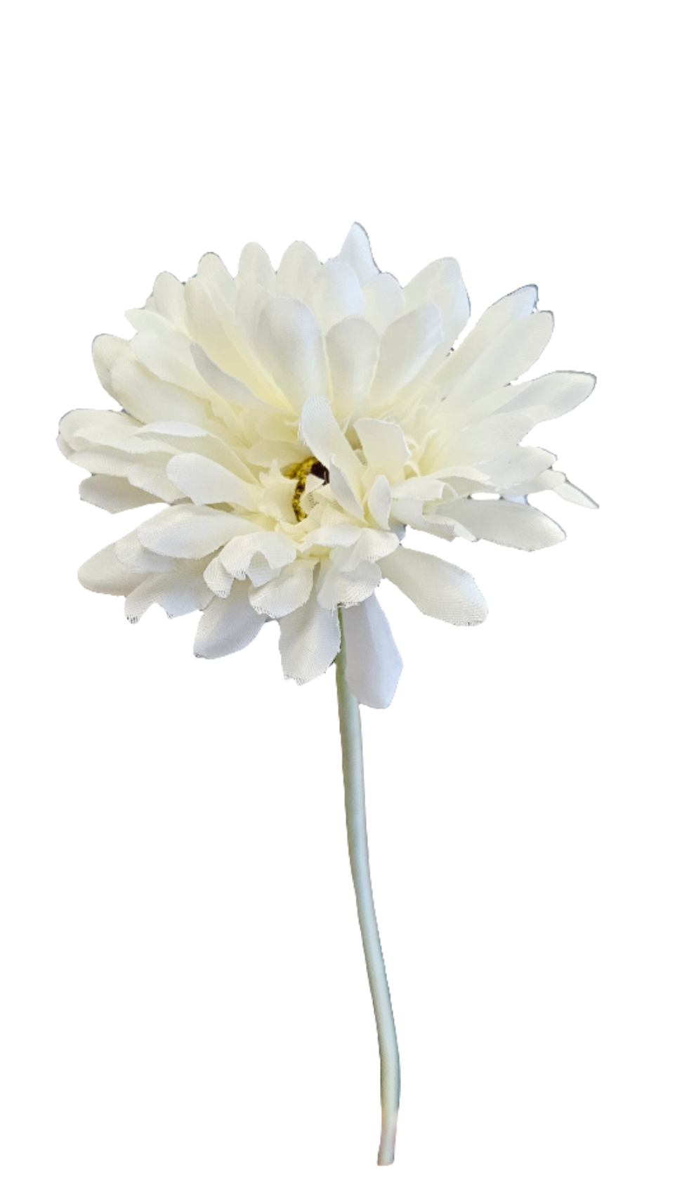 21" Gerbera Daisies