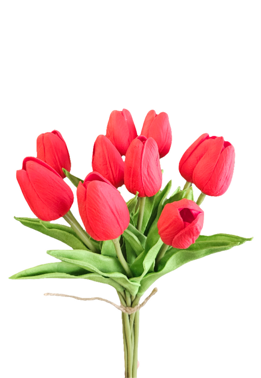 Tulips Bunch Set of 10 : Red