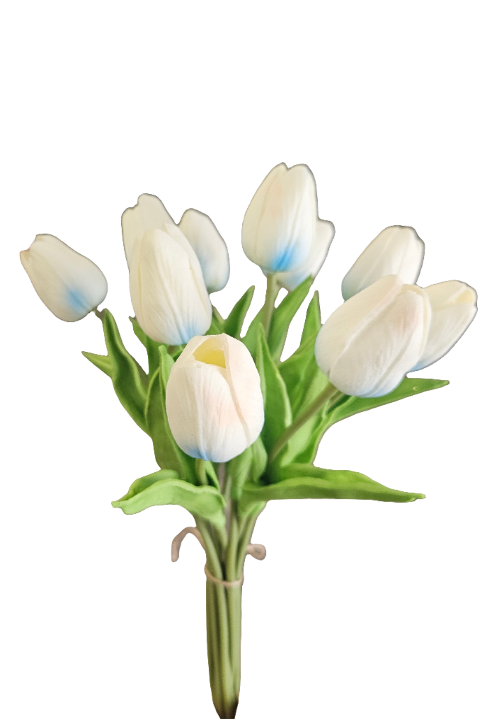 Tulips Bunch Set of 10 : White & Blue