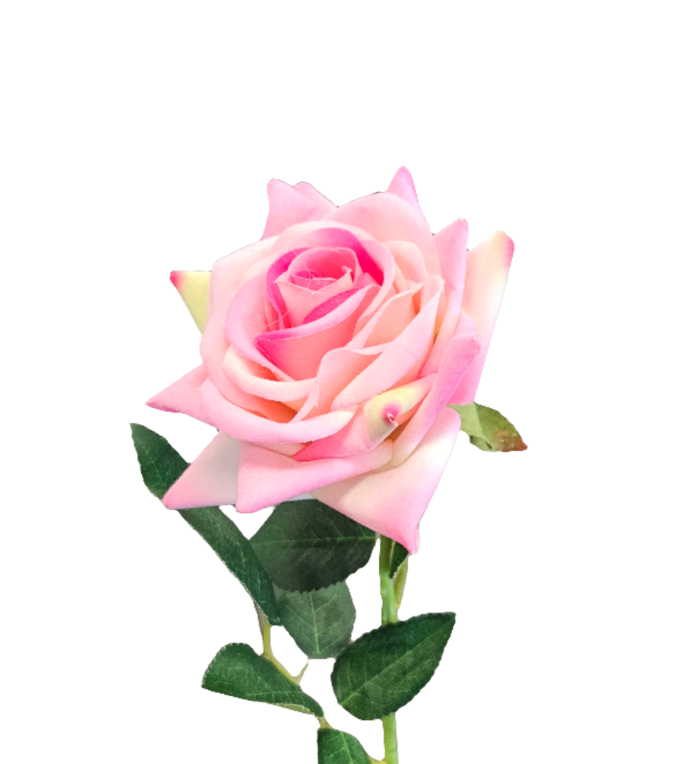 20" Ouli Rose Stem - 1 Bud