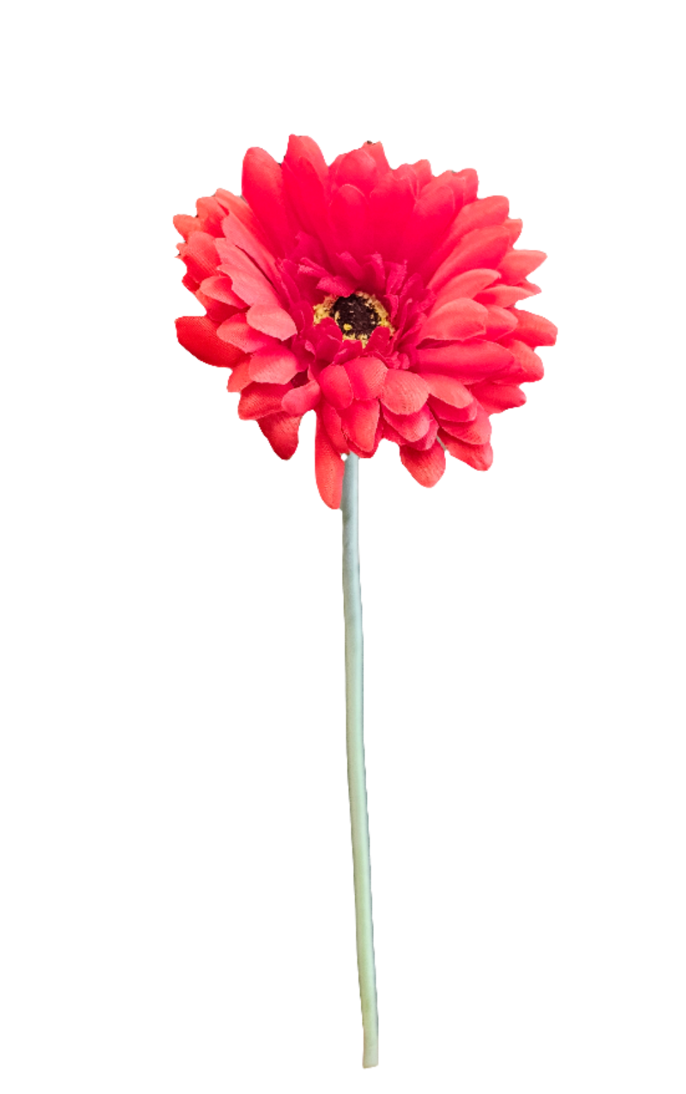 21" Gerbera Daisies