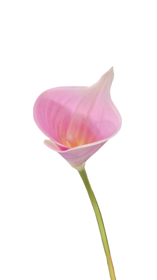 26" Calla Lily Stem