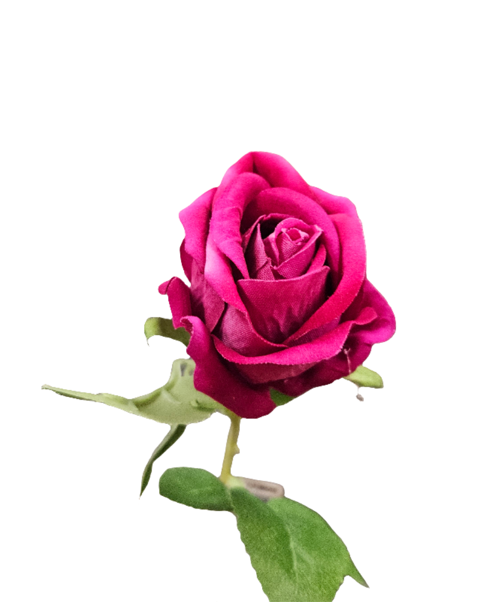 20.5" Single Rose Stem