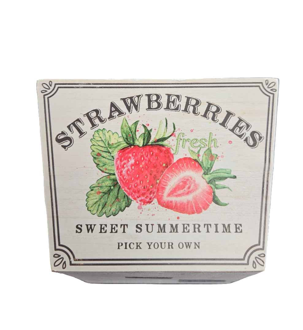 5.75"Sqx4.25"H Fresh Fruit Planter