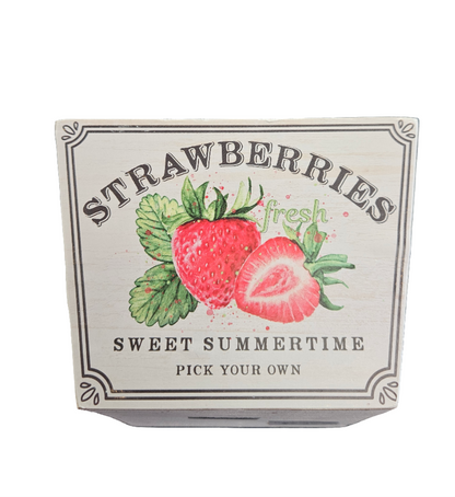 5.75"Sqx4.25"H Fresh Fruit Planter