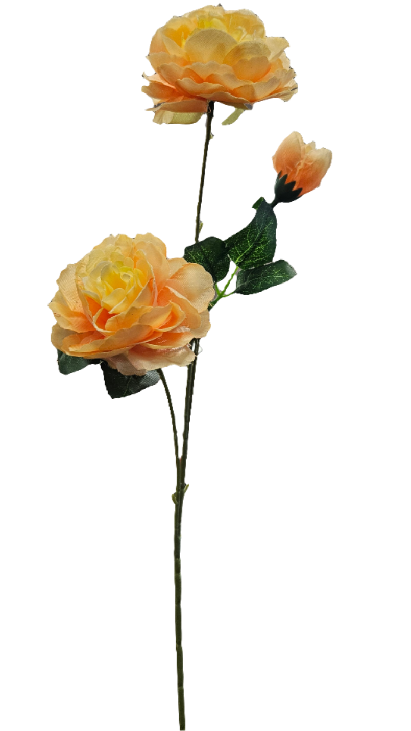Peony Stem - 3 Head - 25"