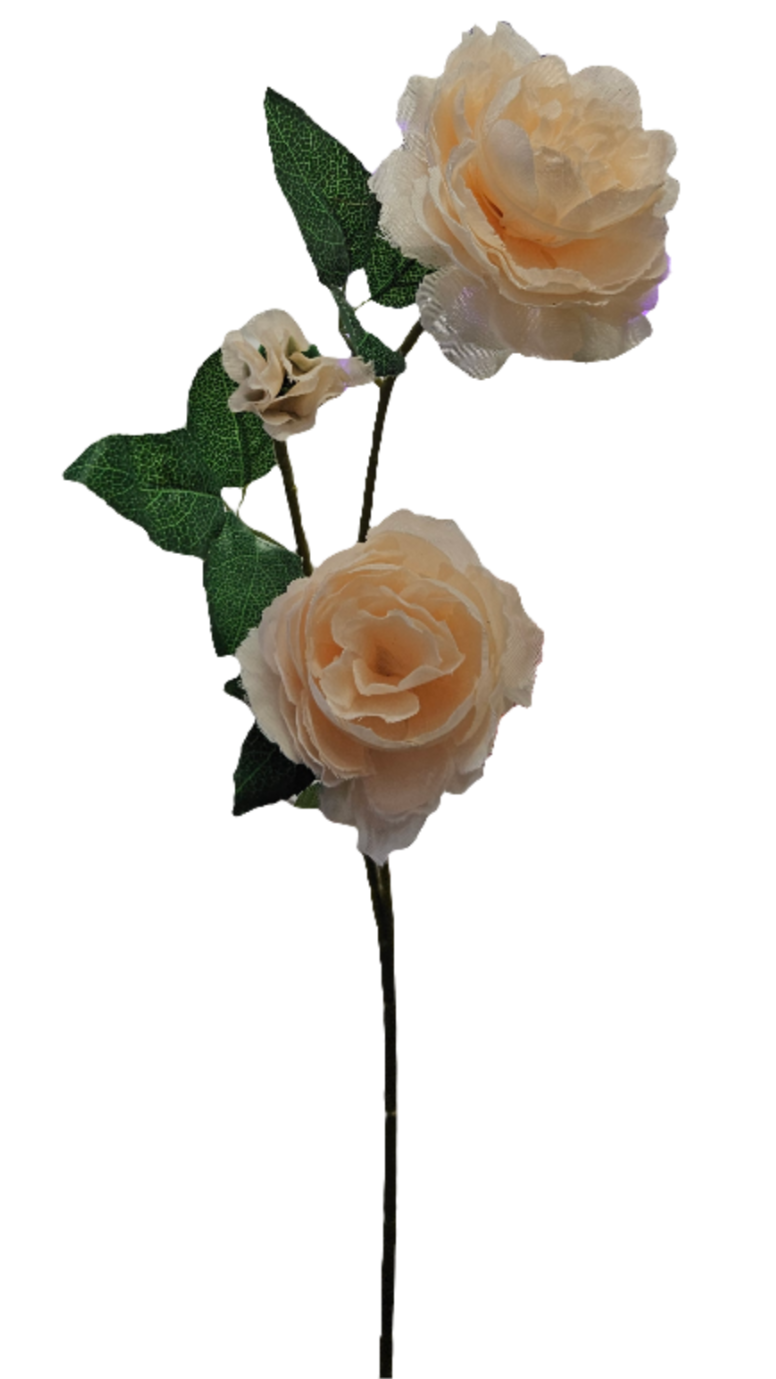 Peony Stem - 3 Head - 25"