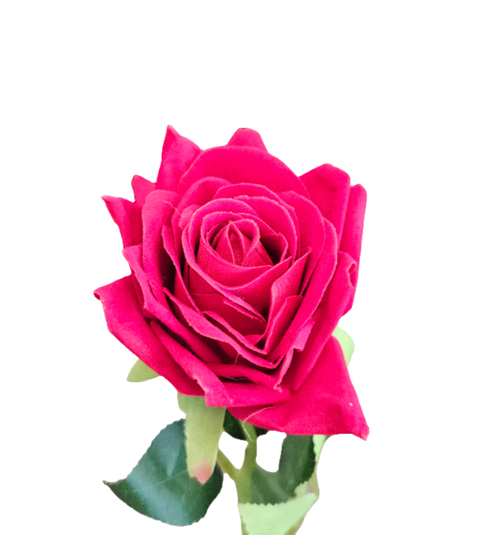 20" Ouli Rose Stem - 1 Bud