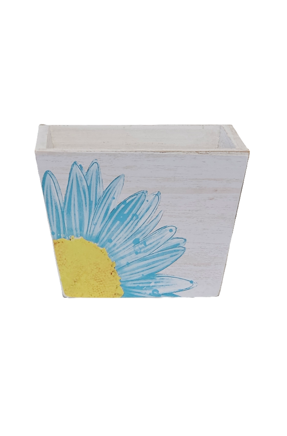 3 Asst 5.75 " SQ x 4.25 " H Daisy Planter