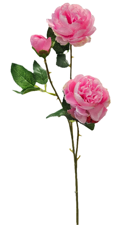Peony Stem - 3 Head - 25"