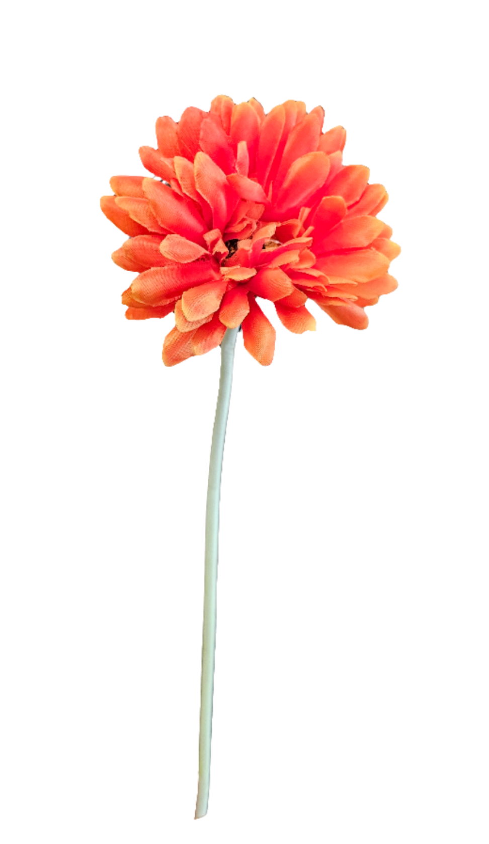 21" Gerbera Daisies