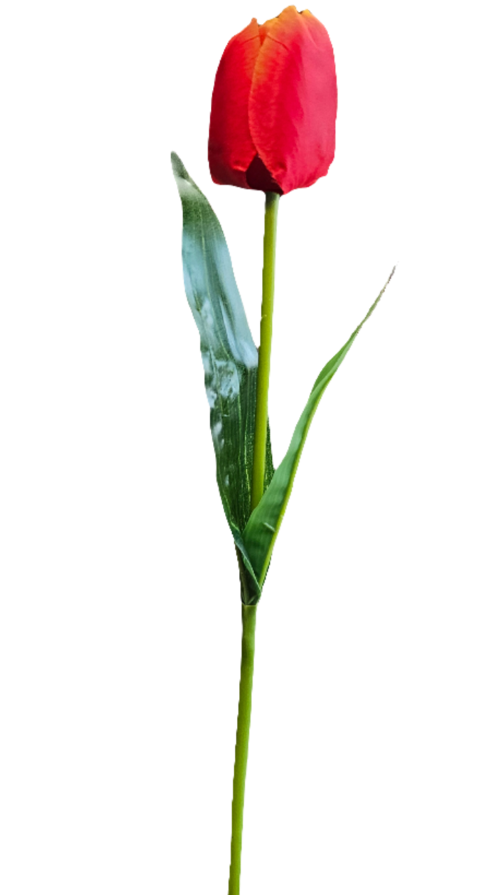 18" Silk Tulips