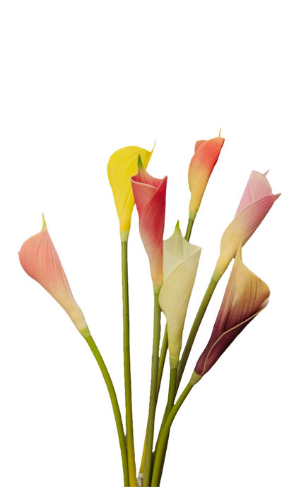26" Calla Lily Stem