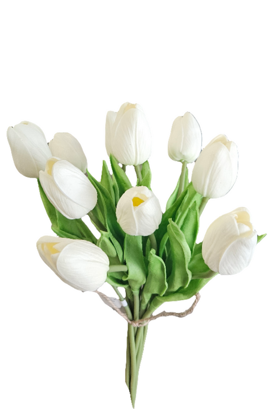 Tulips Bunch Set of 10: White