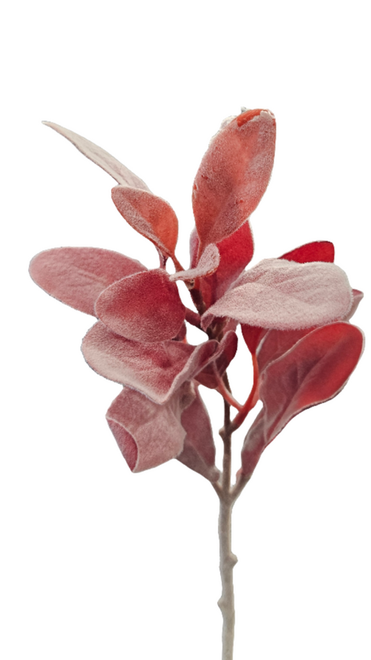 14" Lamb's Ear: Pink