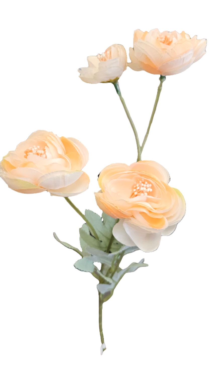23" Ranunculus Stem - 4 Buds