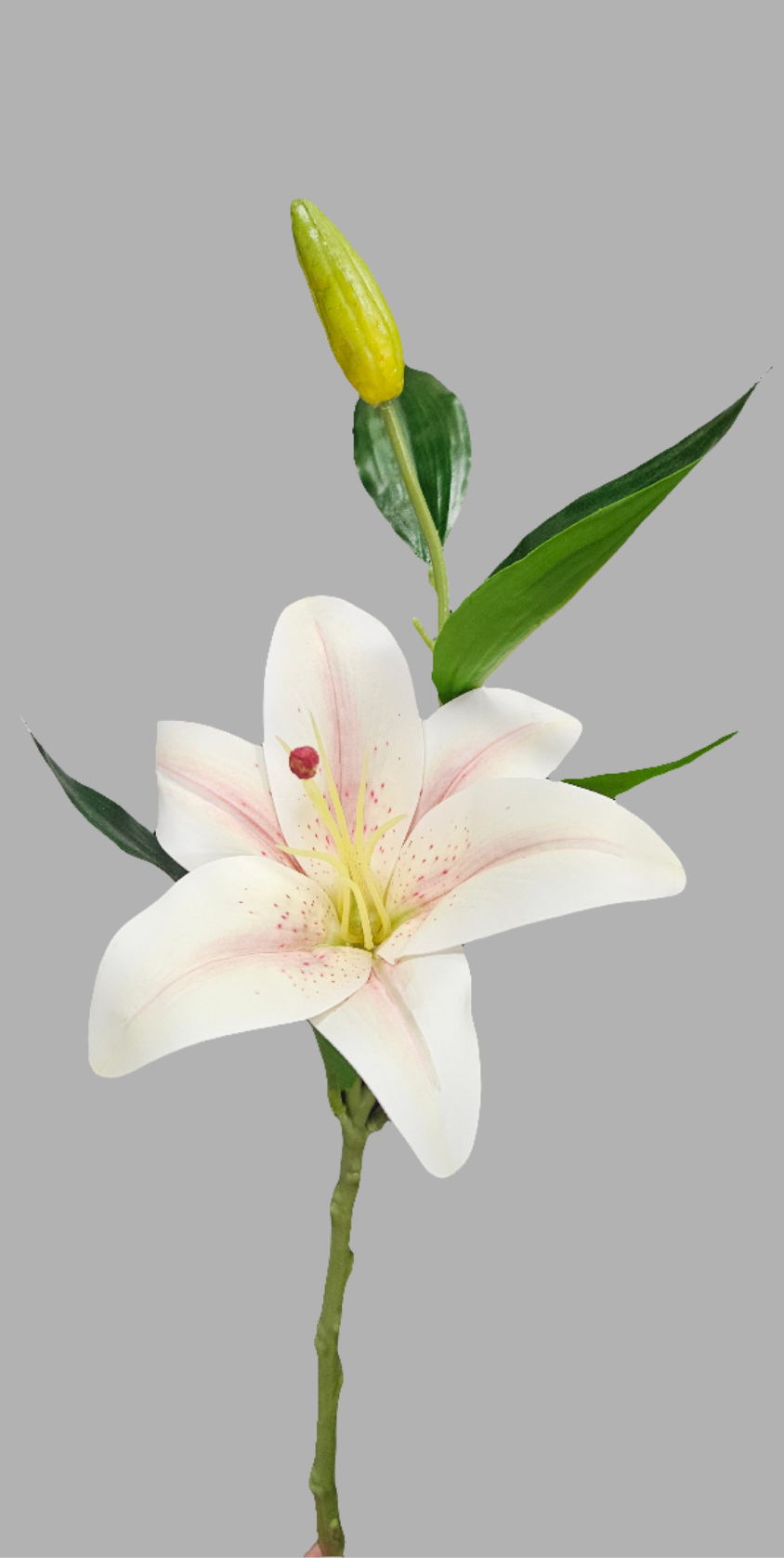 13" Lily Stem