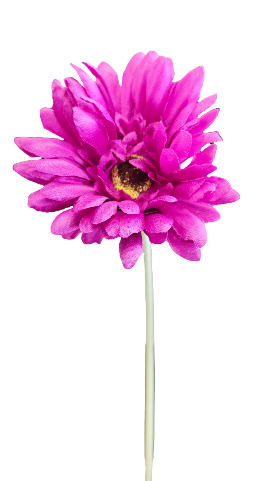 21" Gerbera Daisies
